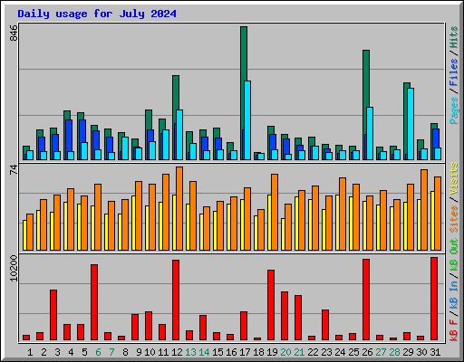 Daily usage for July 2024