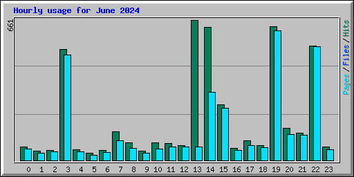 Hourly usage for June 2024